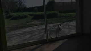 Le casting porno de Shauna la reine du shopping