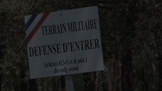 Rousse en chaleur défoncée en bord de route