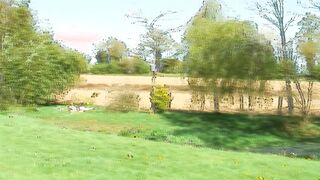 Partouze improvisée pour deux jeunes cochonnes gourmandes!